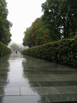 28308 Lonely pedestrian on wet streets.jpg